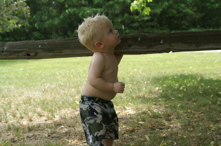 mom. look i can carry a log.