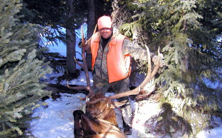 Colorado Elk Hunt in 2004