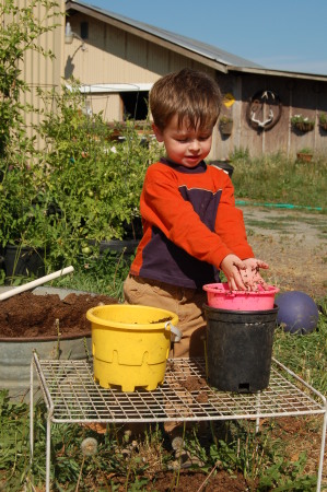 Jackson digging