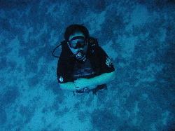 170 Feet Down Diving In Palau
