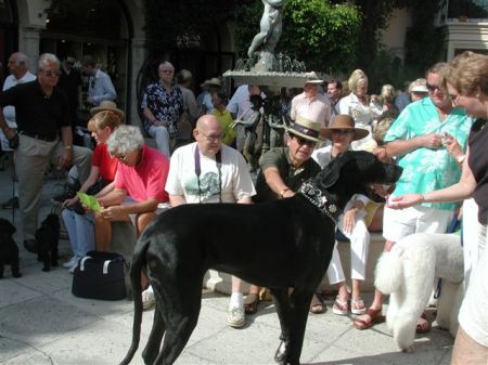 Beamer and Dad - Best in Show 2005 (FL)