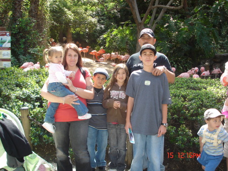 Our trip to the LA zoo