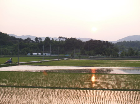 Sunset in South Korea, Spring 2006
