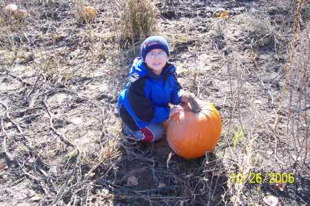 Preston at the pumpkin patch