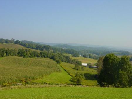 Cornfields on the ridge