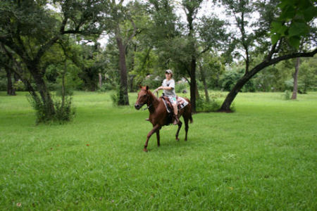 DJ gets his first horse