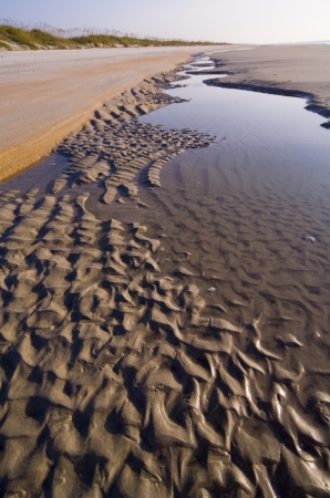 Amelia Island