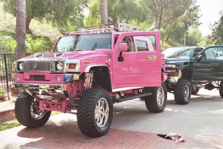 OUR PINK H2 SUT