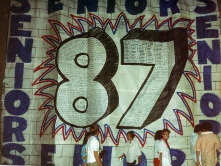 87 Senior School Party