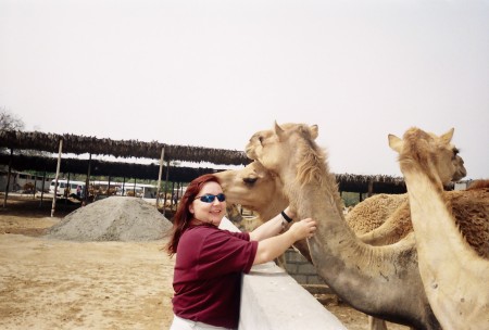 Camel Farm