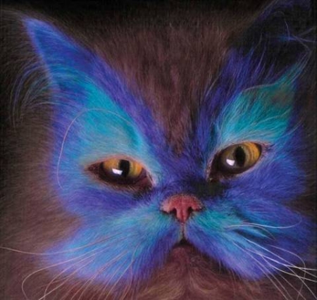 Painted Kitty