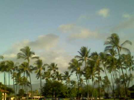 Hawaiian Vacation - Oahu