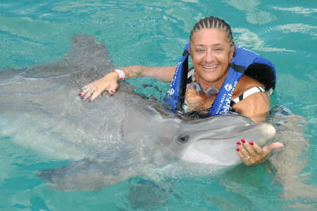 Swimming with the Dolphins...