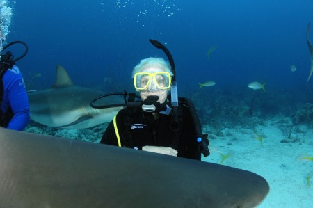 Shark Diving