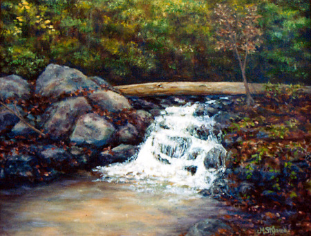 South Toe River NC 11x14 oil