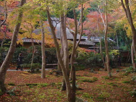Giyoji Temple, Arashiyama, Kyoto