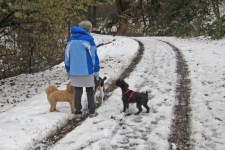 Quincy, Judi and Tucker our snowy day 2010