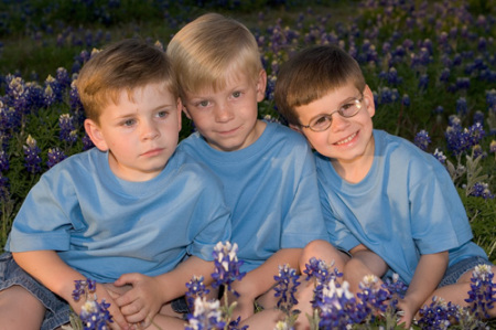 Texas Bluebonnets