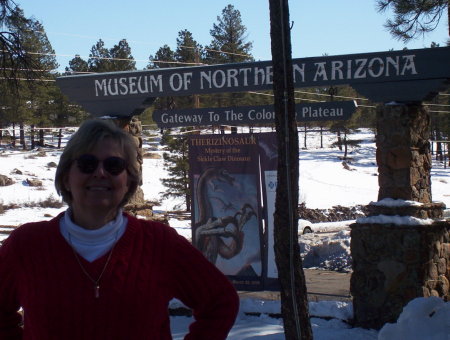 Yes, it snows in Arizona! in Flagstaff)