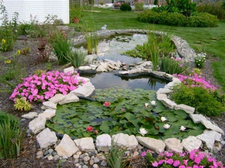 The backyard water garden