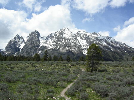 Single track to the Teton Mountains