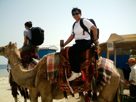Hey honey, I found ur camel!!!!!!!!!!