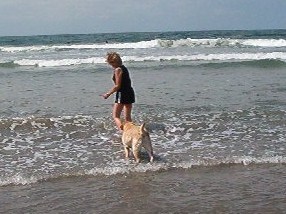 Dog's Beach w/Shanna 9-14-05