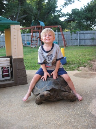 Gavin on Cuff one of our Galapago's Tortoises