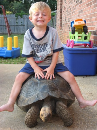 Gavin on Cuff one of our Galapago's Tortoises