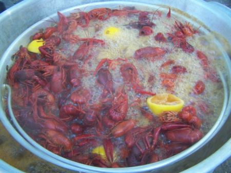 Crawfish boils