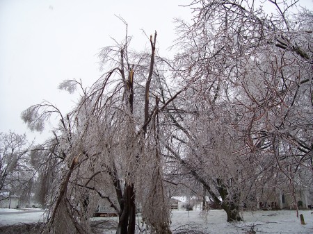 Ice Storm