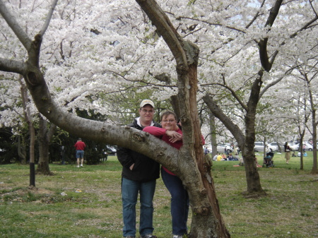 frank and Holly Cherry Blossom Festival DC