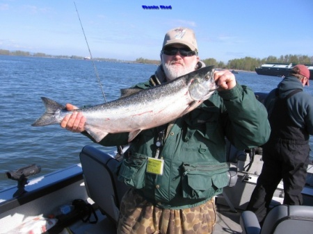 Columbia River Springer 06