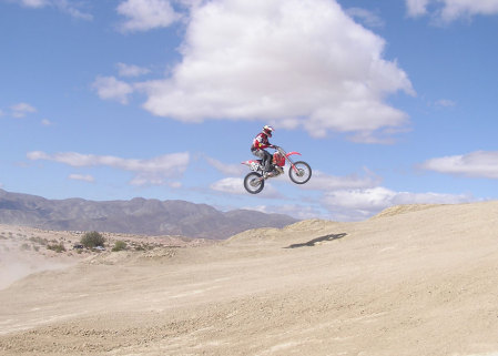 Ocotillo 06