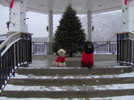 Mellie and Scarlett at the Cold Spring Gazebo.