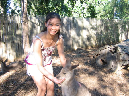 Feeding a Kangaroo
