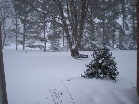 Bench in Front Yard  - Blizzard 2009