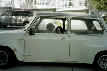 Kids in car