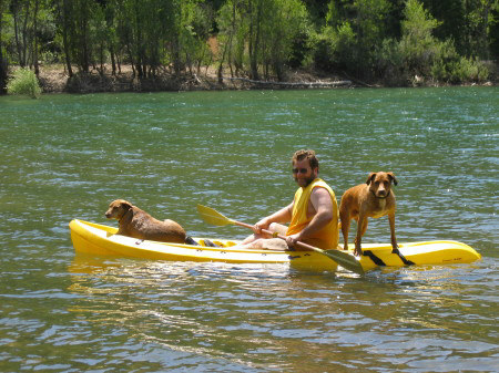 WhiteWater Dogs