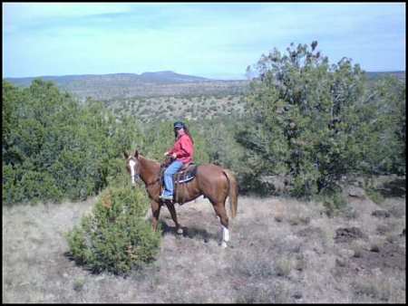 Riding my colt in the Arizona mountains