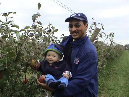 Apple Picking, Hamptons, Long Island