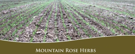 Mountain Rose Herbs