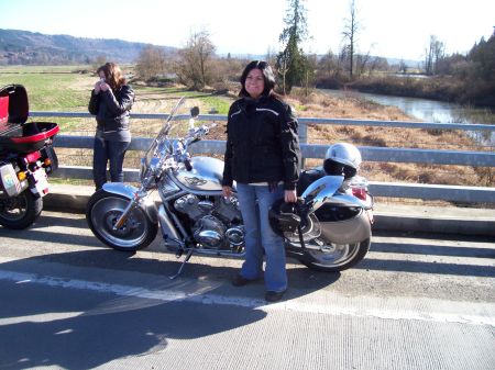 Another favorite 2003 Harley V-Rod