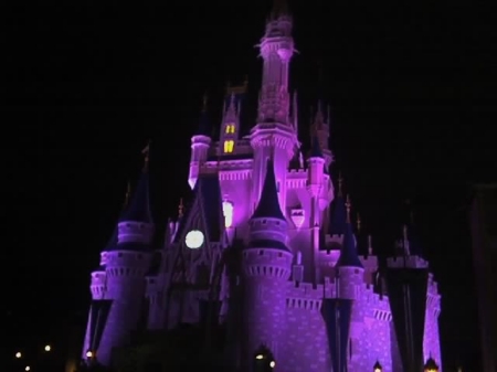 Disney Castle 2008
