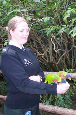 Me and a Lorikeet.