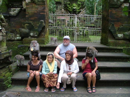 In the Monkey Forest, Bali, Indonesia