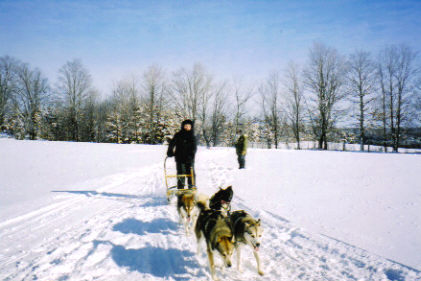 Dogsledding