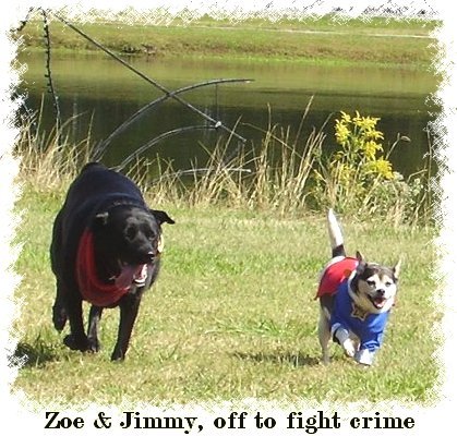Zoe and Jimmy off to fight crime