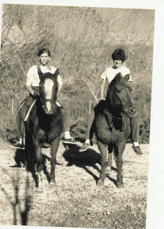 2 hot babes.. and a couple of girls on horses