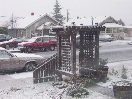 Sequim's Annual Snow